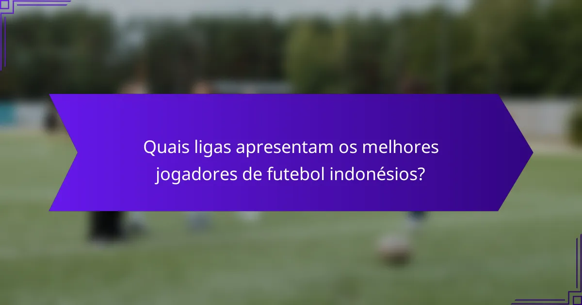 Quais ligas apresentam os melhores jogadores de futebol indonésios?