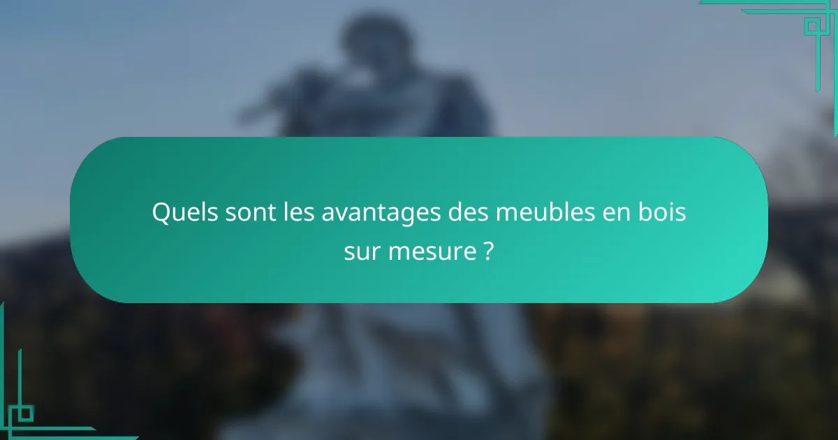 Quels sont les avantages des meubles en bois sur mesure ?